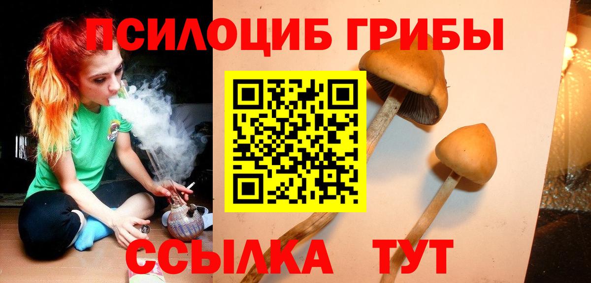 Галлюциногенные грибы мицелий Лабытнанги