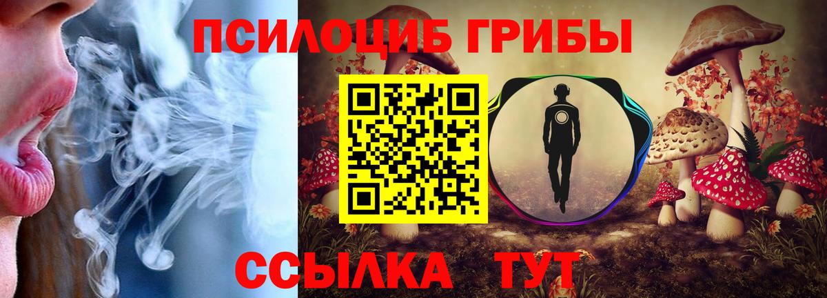 Лабытнанги  Галлюциногенные грибы Cubensis  Вход с VPN 